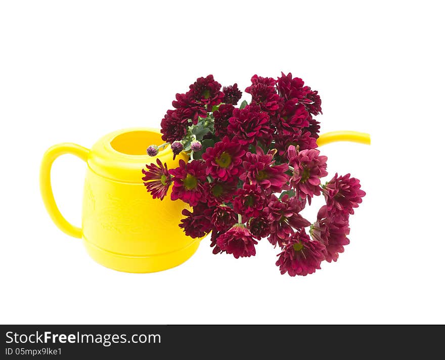 Red flowers and a yellow can on a white background.