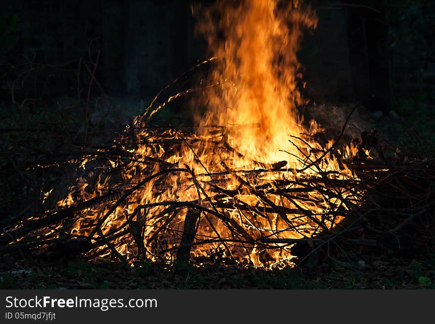 Fire Is Burning Dry Twigs