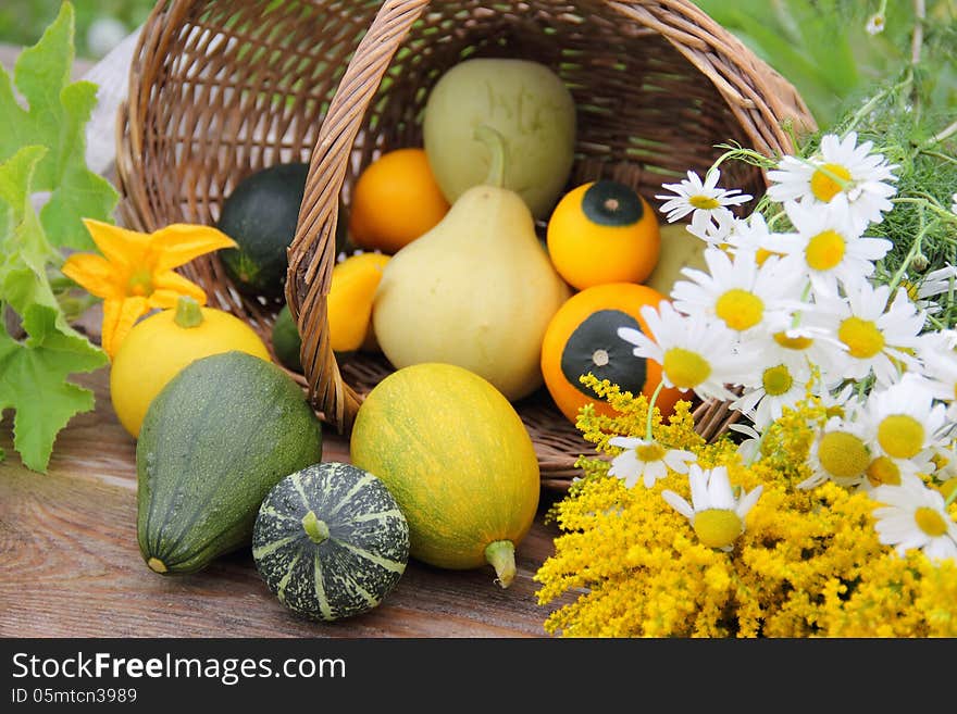 Capsized basket, small assorted gourds, chamomiles and yellow flowers. Capsized basket, small assorted gourds, chamomiles and yellow flowers.