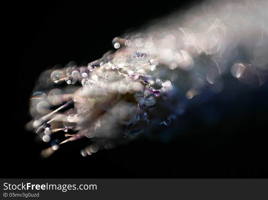 Abstraction on a black background with a bokeh, water drops on a grass. Abstraction on a black background with a bokeh, water drops on a grass