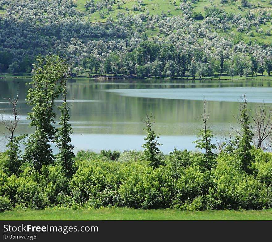 A Summer Lake Near The Hill.