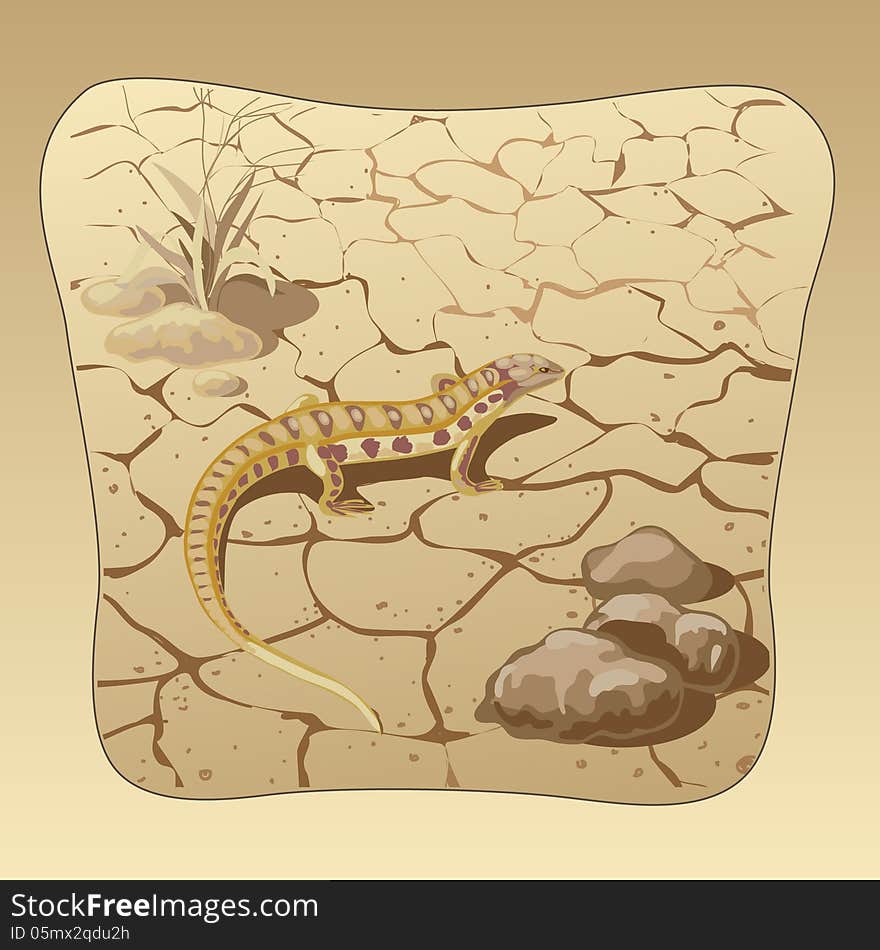 Lizard in steppes among stones