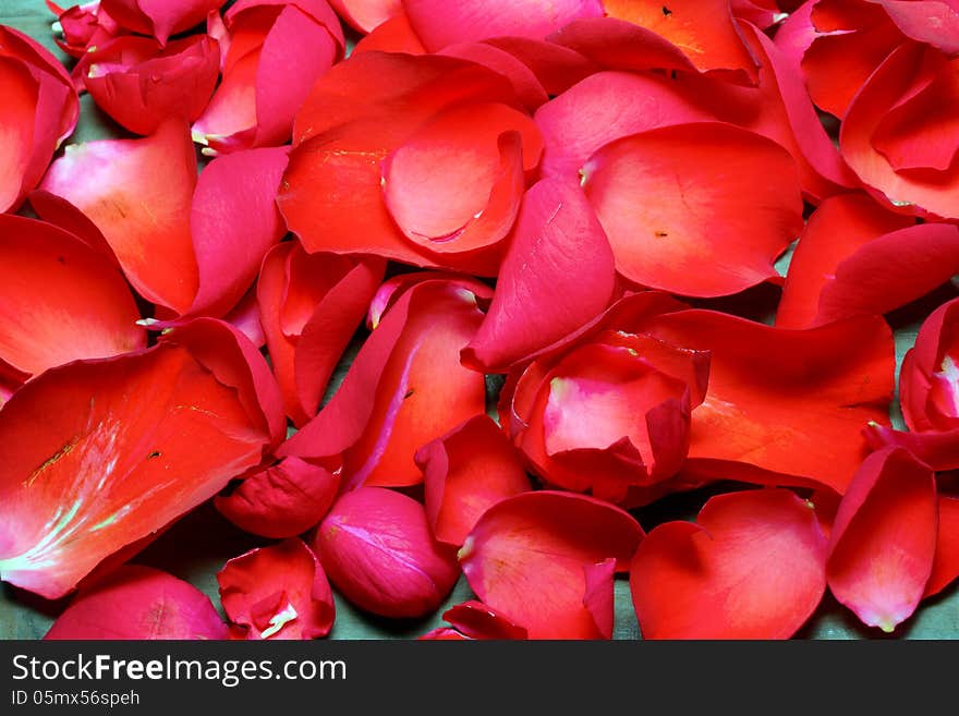 Spa stones and roses closeup