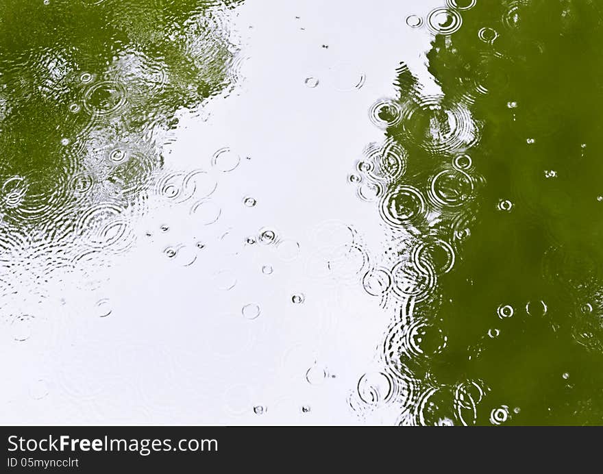 Reflection of trees in a pond in rainy day. Reflection of trees in a pond in rainy day