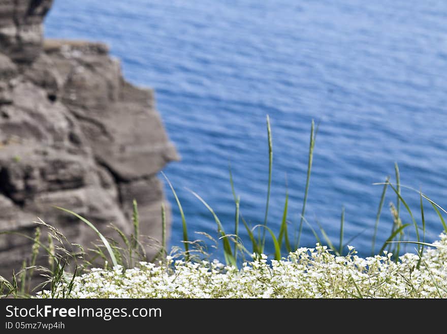 The sea and rocks under beams of a bright sun