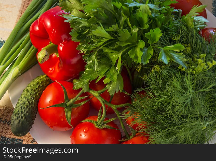 Healthy food- red paprika, tomatoes, cucumber, parsley, dill