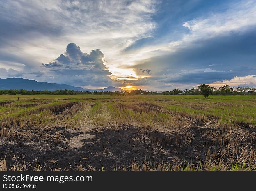 Dramatic sky and the field