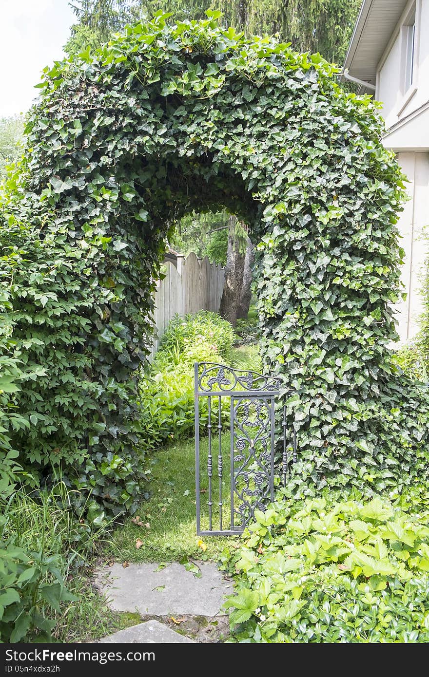 An arch doorway made with ivy on the side of a house. An arch doorway made with ivy on the side of a house.