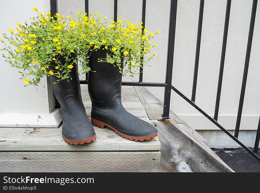 Yellow flowers in boots #1. Yellow flowers in boots #1.