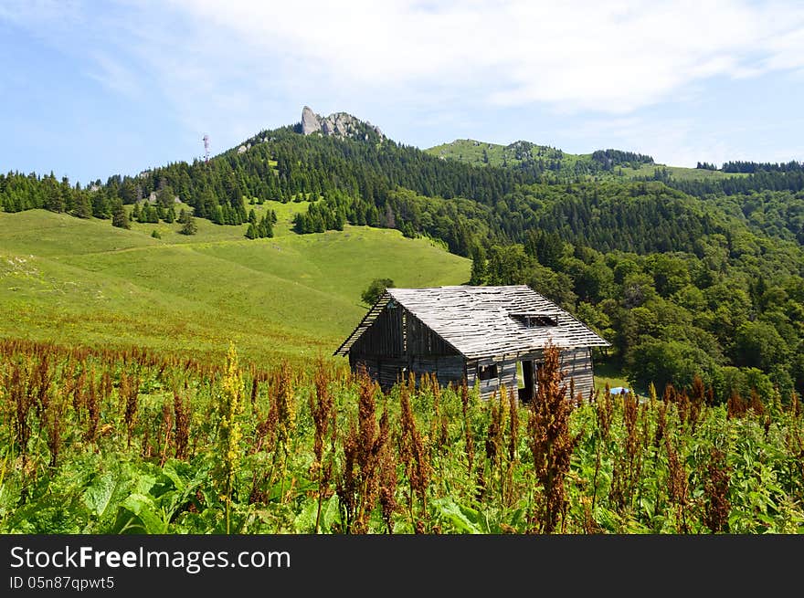 Wooden old abandoned house in the foothills