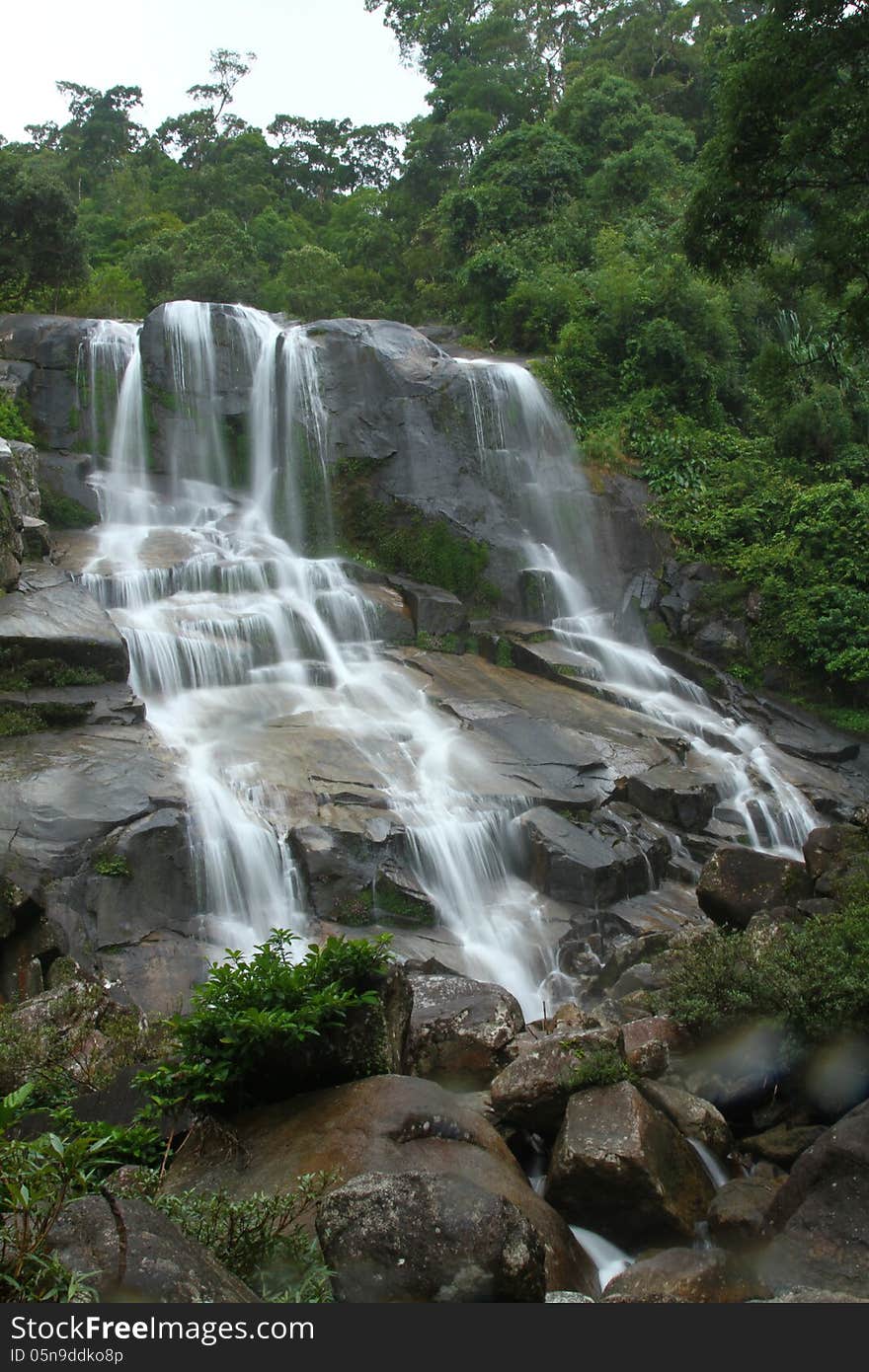 Waterfall in rainforest