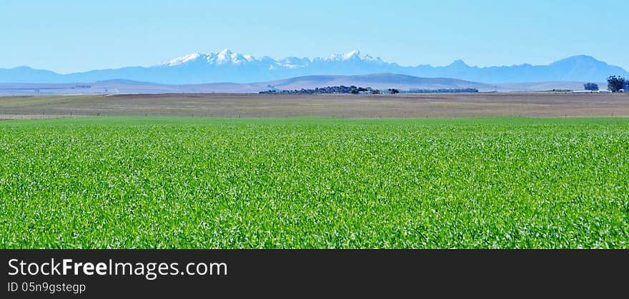 Landscape with green field and Ceres Mountains. Landscape with green field and Ceres Mountains