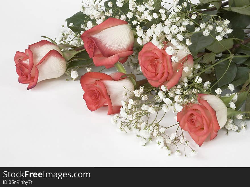 Bouquet of roses on white background