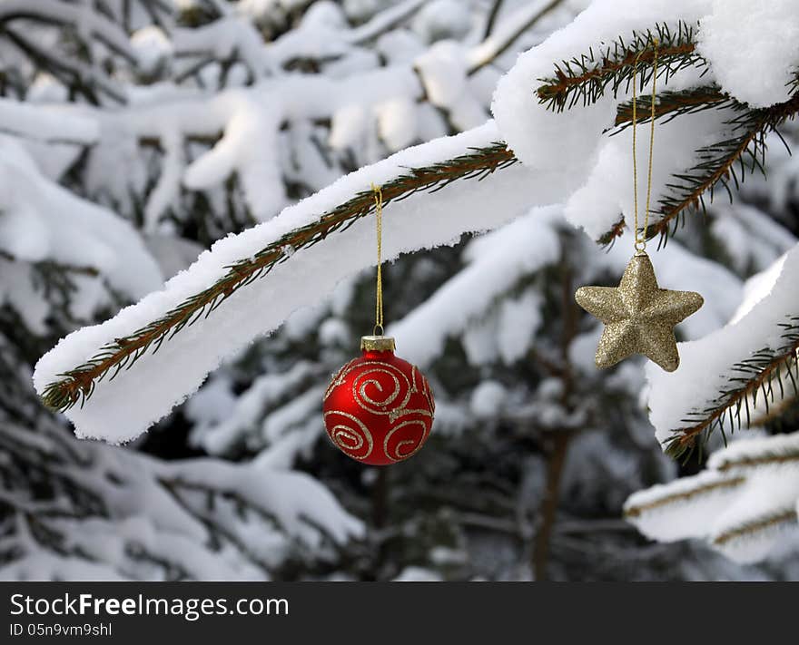 Silver glass ball hanging on the snowy twig of the spruce. Silver glass ball hanging on the snowy twig of the spruce