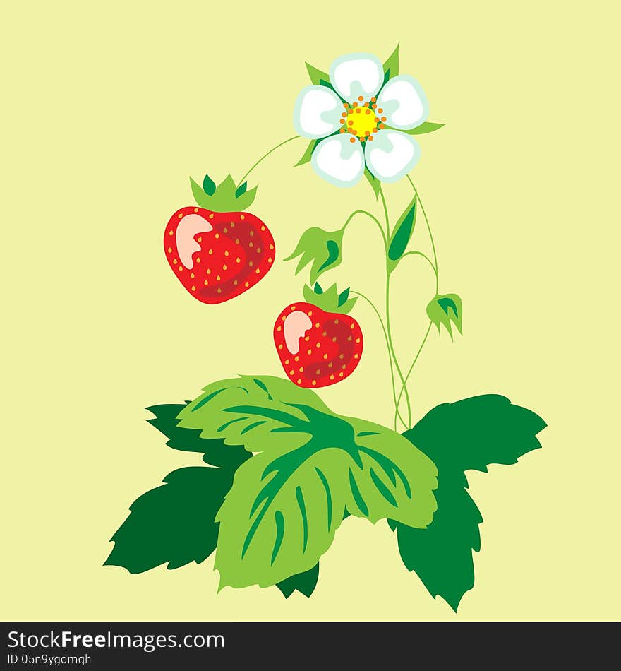 Red tasty strawberries and flower. Red tasty strawberries and flower