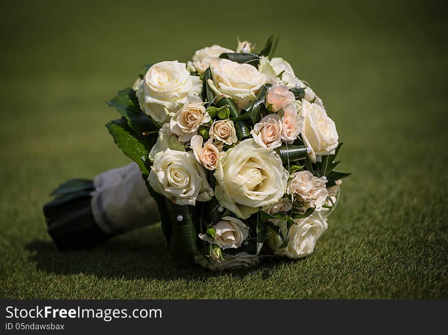 Roses on the lawn in the spring