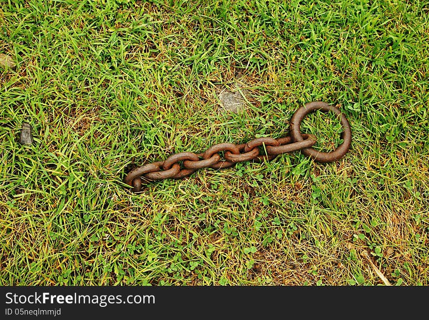 A chain coming out of the ground in the grass. A chain coming out of the ground in the grass