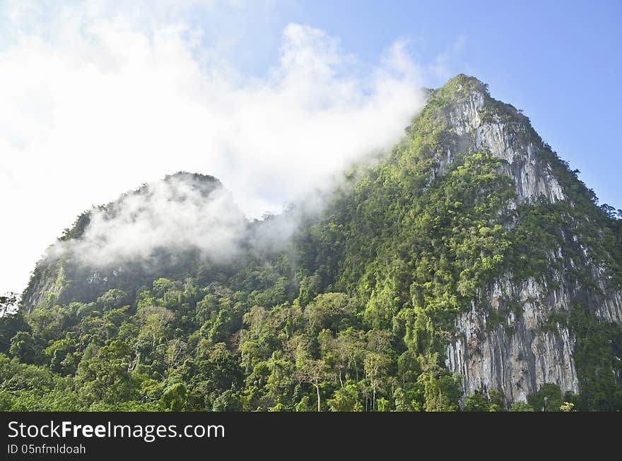 Lush high mountains.