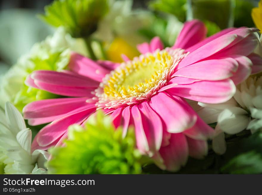 Bouquet of flowers