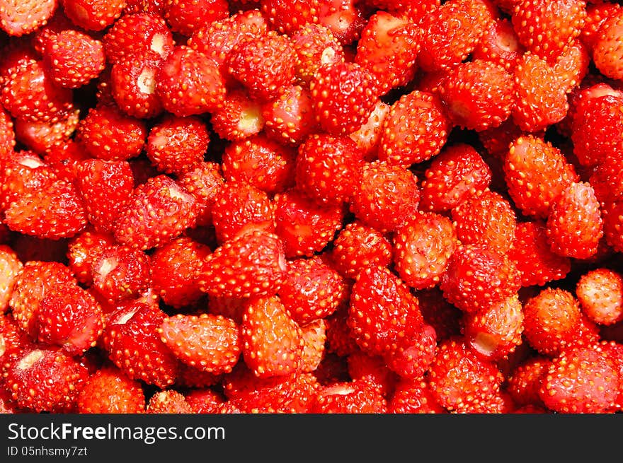 Fresh red wild strawberry close-up