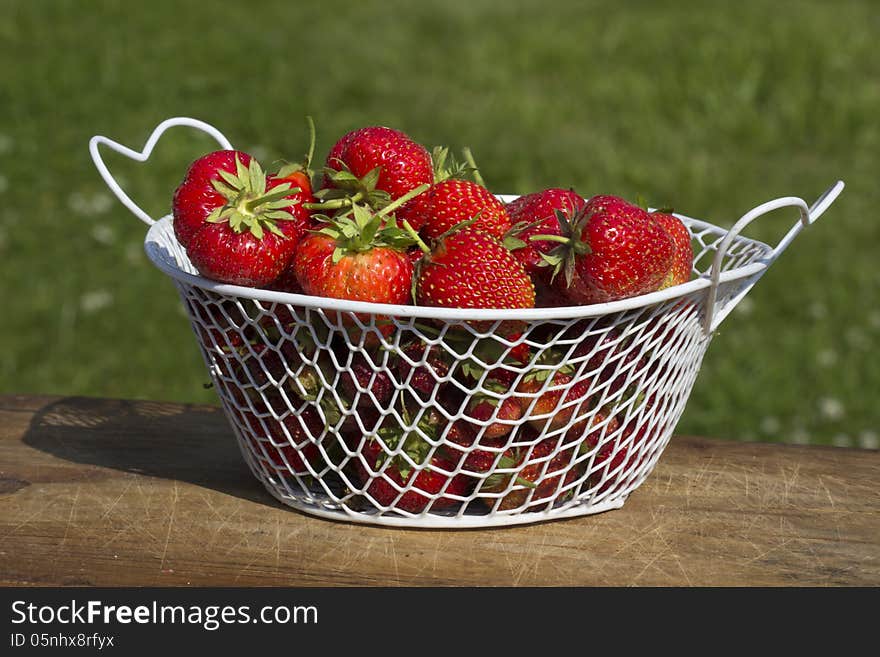 Strawberries or Raspberries cantaloupe lat. Fragária moschátaa.