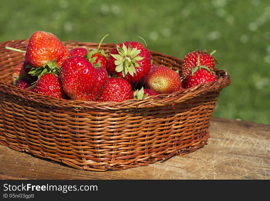 Strawberries or Raspberries cantaloupe lat. Fragária moschátaa.