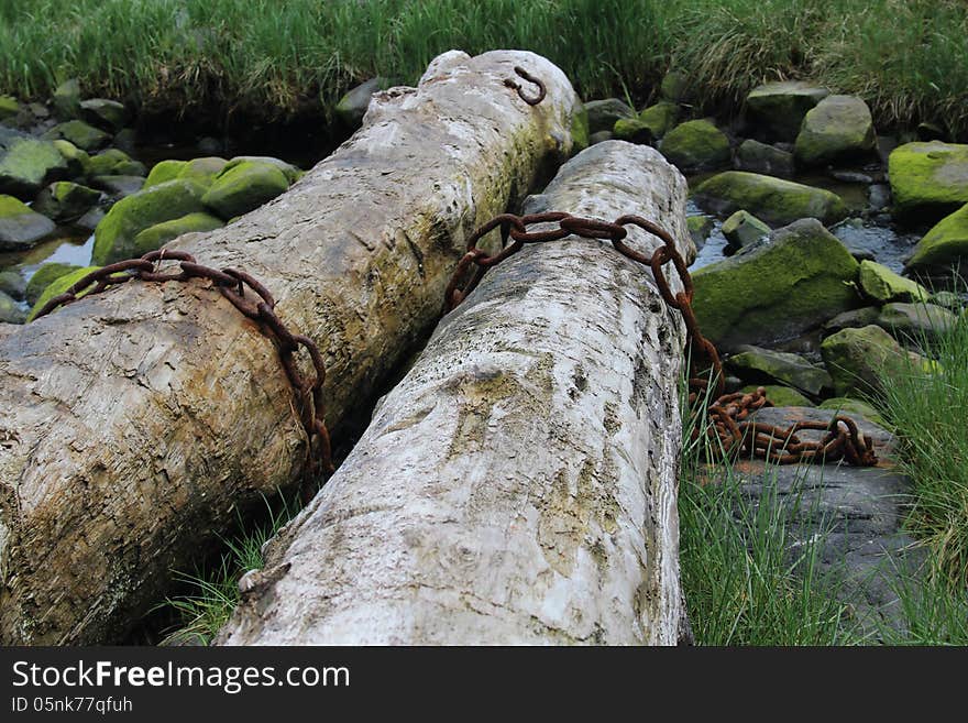 Two old logs with boom chains from an old log raft rest against mossy rocks of a small stream on the beach at Mitkof Island near the town of Petersburg, Alaska. A reminder of an almost extinct timber industry in the Tongass National Forest. Two old logs with boom chains from an old log raft rest against mossy rocks of a small stream on the beach at Mitkof Island near the town of Petersburg, Alaska. A reminder of an almost extinct timber industry in the Tongass National Forest.