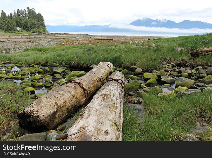 Alaska Island Beach Landscape