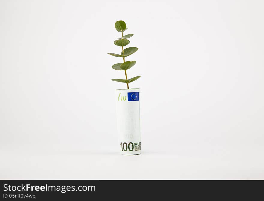 Bank note and plant