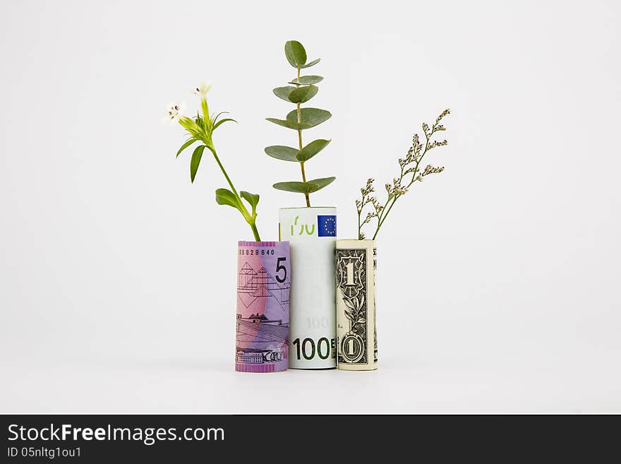 Bank Notes And Plants