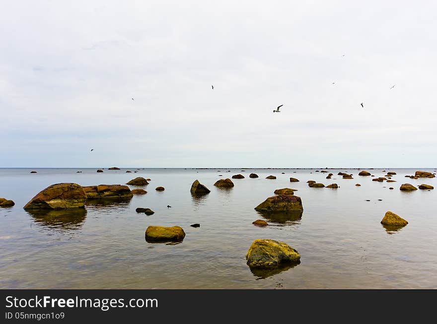 Lahemaa National Park, Baltic Sea. Lahemaa National Park, Baltic Sea.