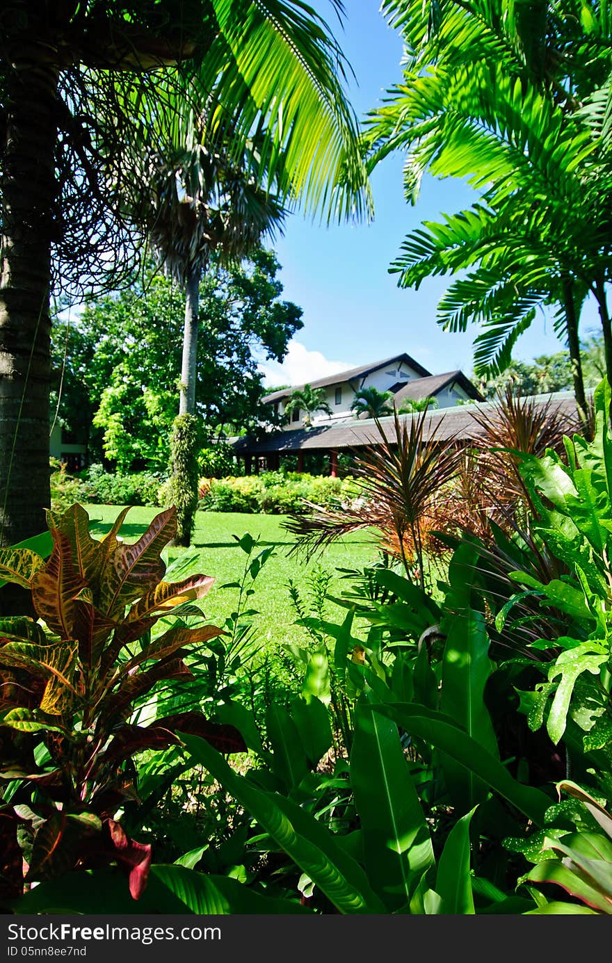 Landscaped tropical gardens in Phuket Thailand. Landscaped tropical gardens in Phuket Thailand