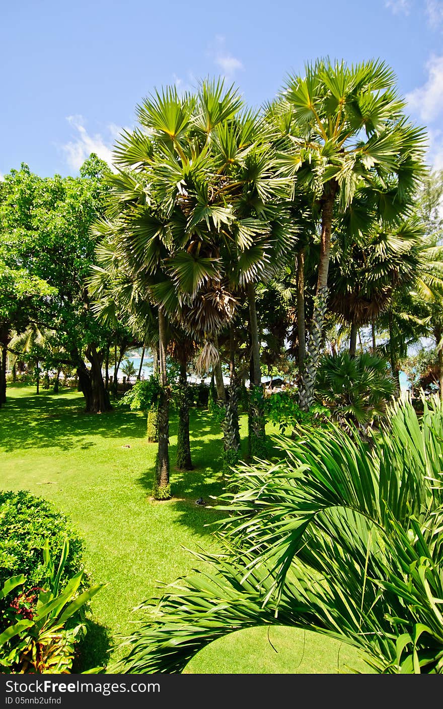 Landscaped tropical gardens in Phuket Thailand. Landscaped tropical gardens in Phuket Thailand