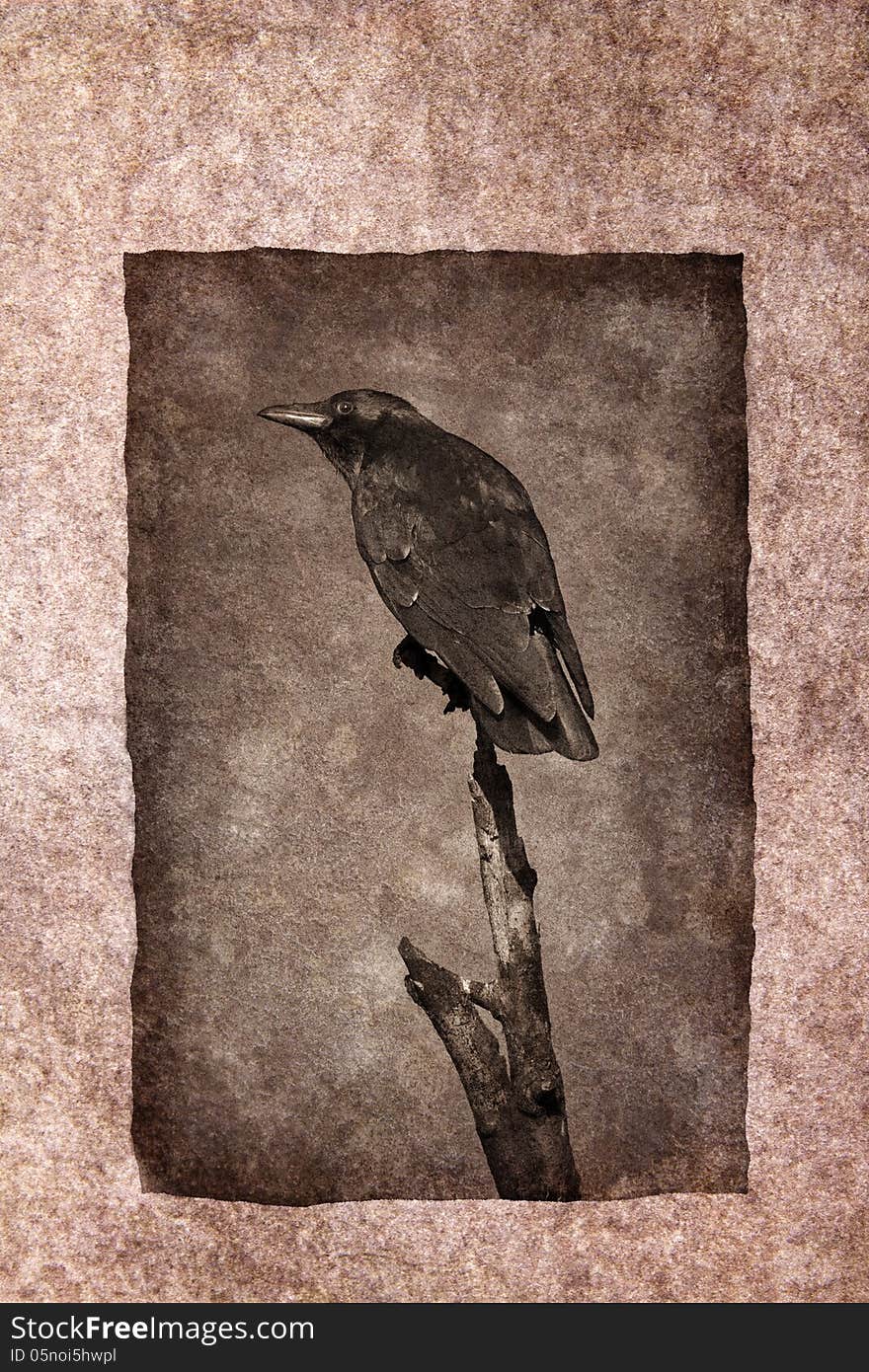 Crow perched on dead tree branch rendered in atmospheric sepia tones with surrounding grunge border.