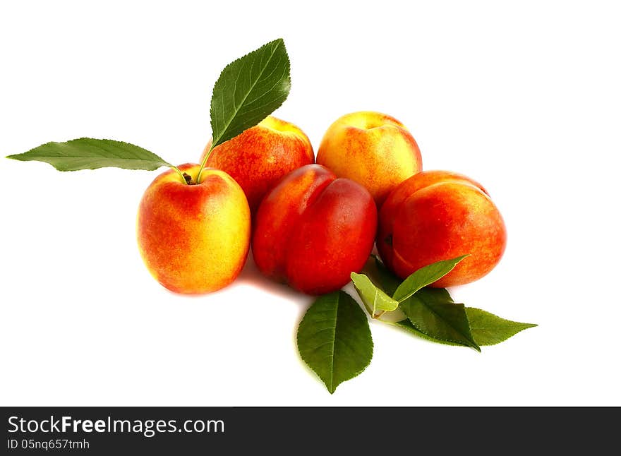 Five nectarines on white background