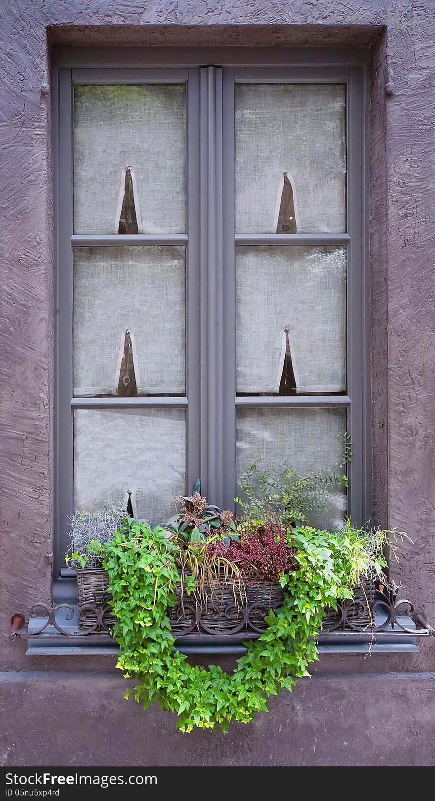 Vintage window with green plants. Belgium. Vintage window with green plants. Belgium