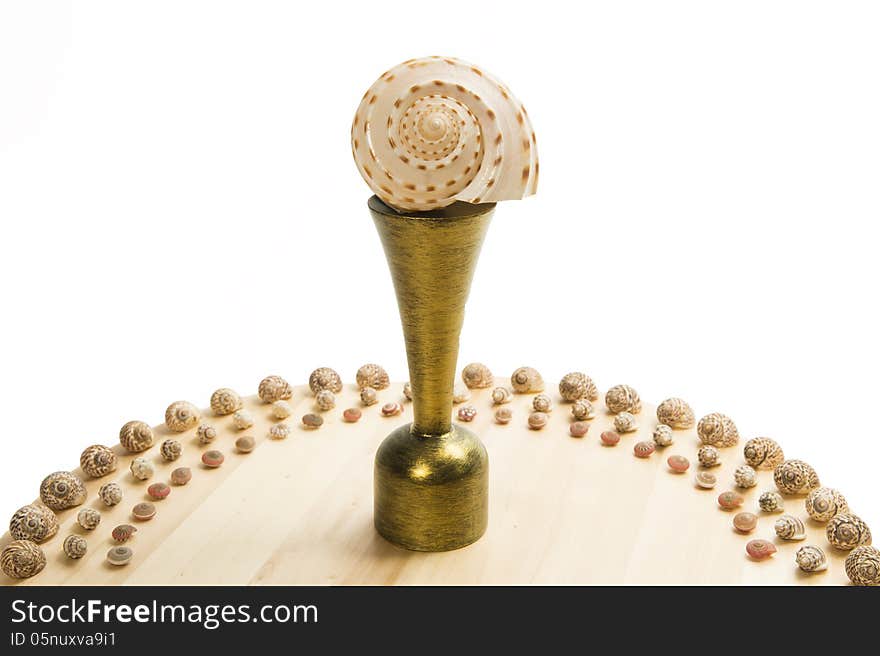 Beautiful sea shell trophy with small sea shell half circle isolated on white background