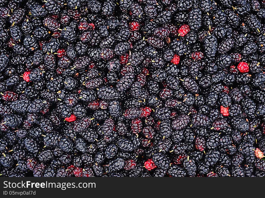 Black Mulberry As A Background