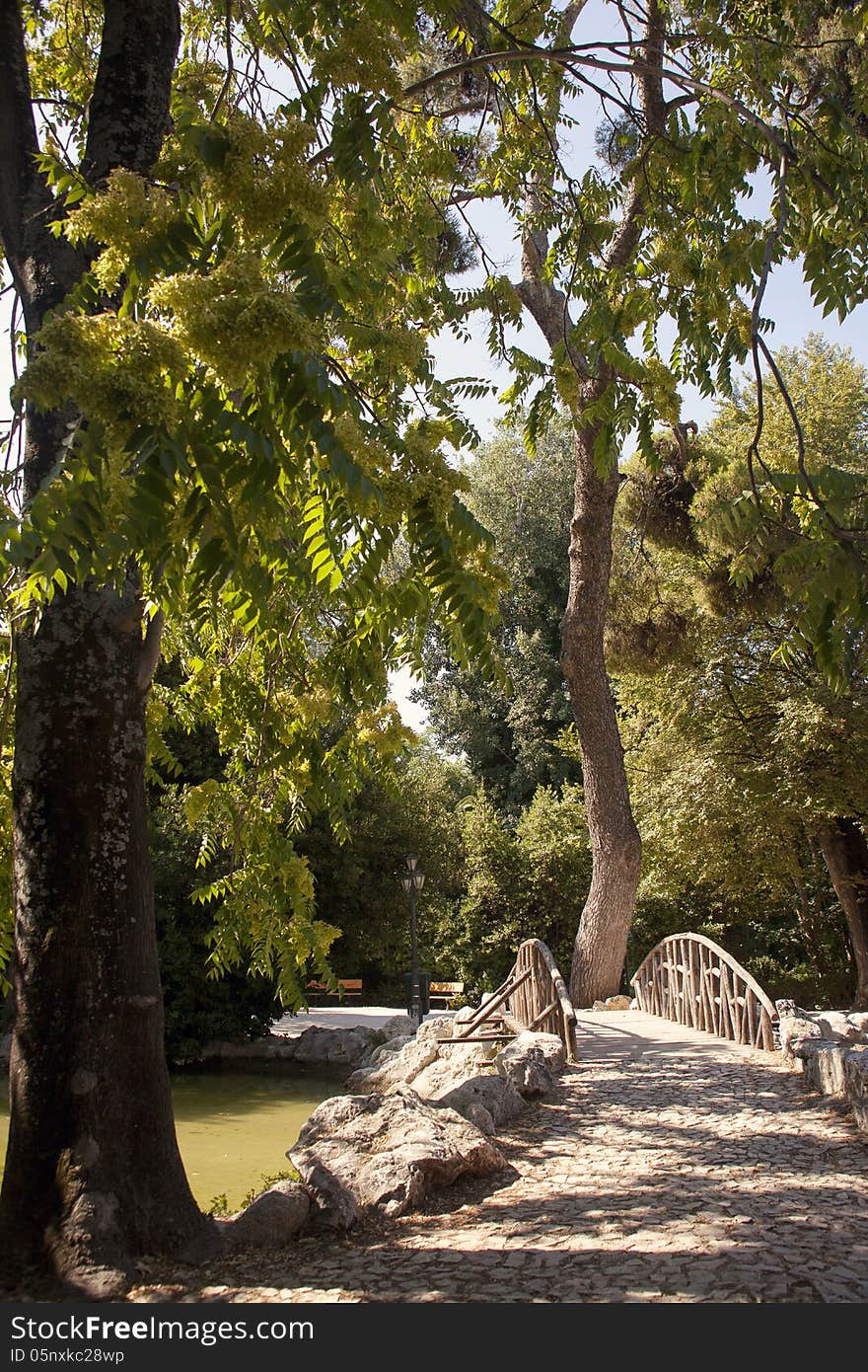 A wooden small bridge in a park