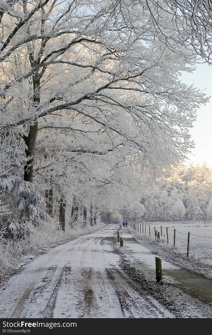 Couple walking in the snow