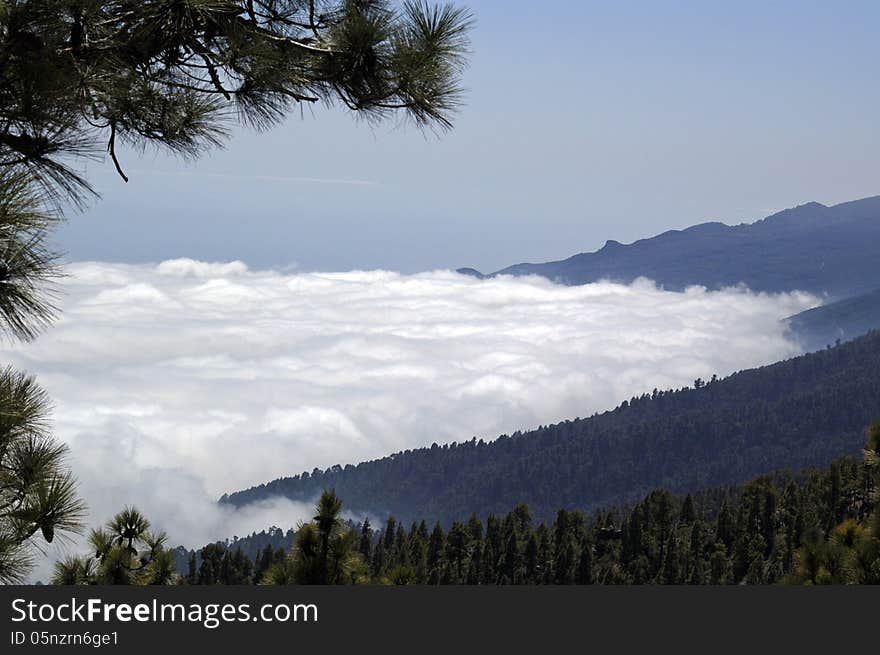 View On A Carpet Of Clouds On La Palma