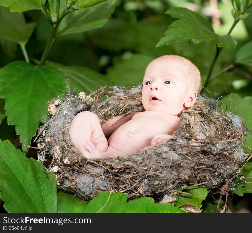 Cute baby in a knit basket wearing a green and white knit hat