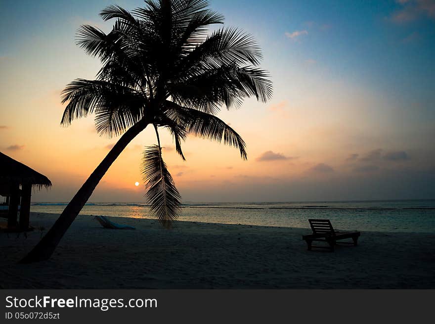 Palm trees silhouette at sunset. Palm trees silhouette at sunset.