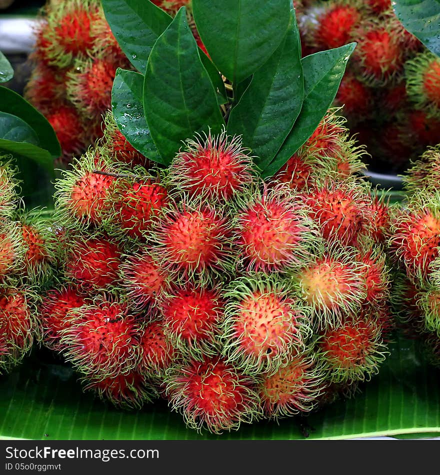 Rambutan