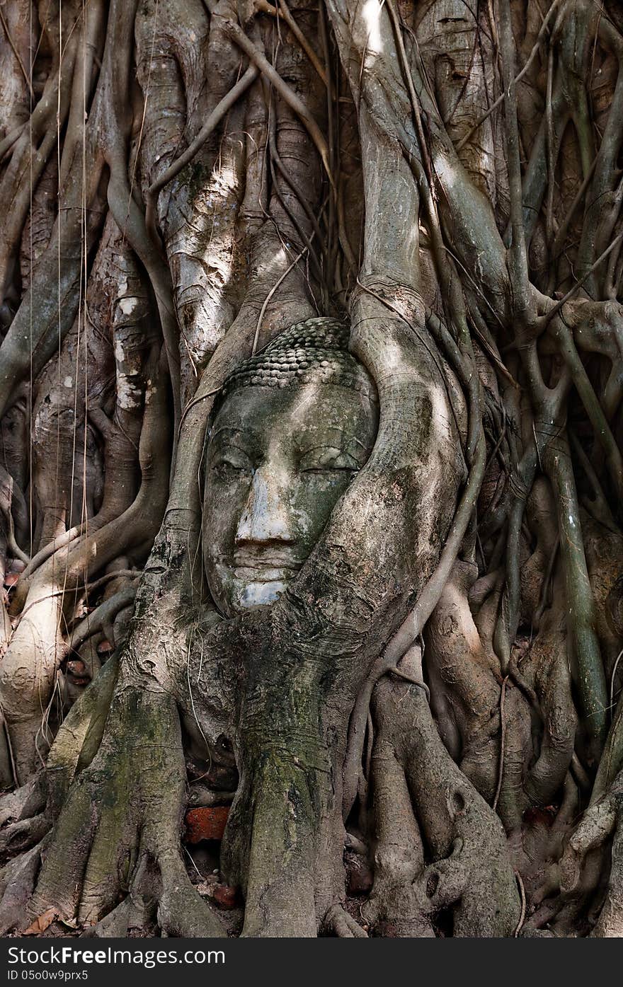 Head Of Buddha in tree root,Ayutthaya Thailand