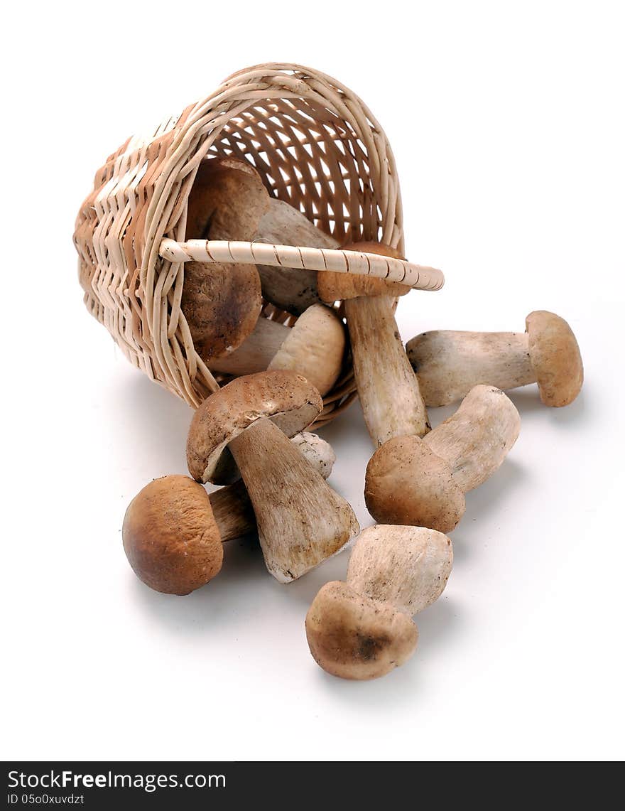 Mushrooms in a basket