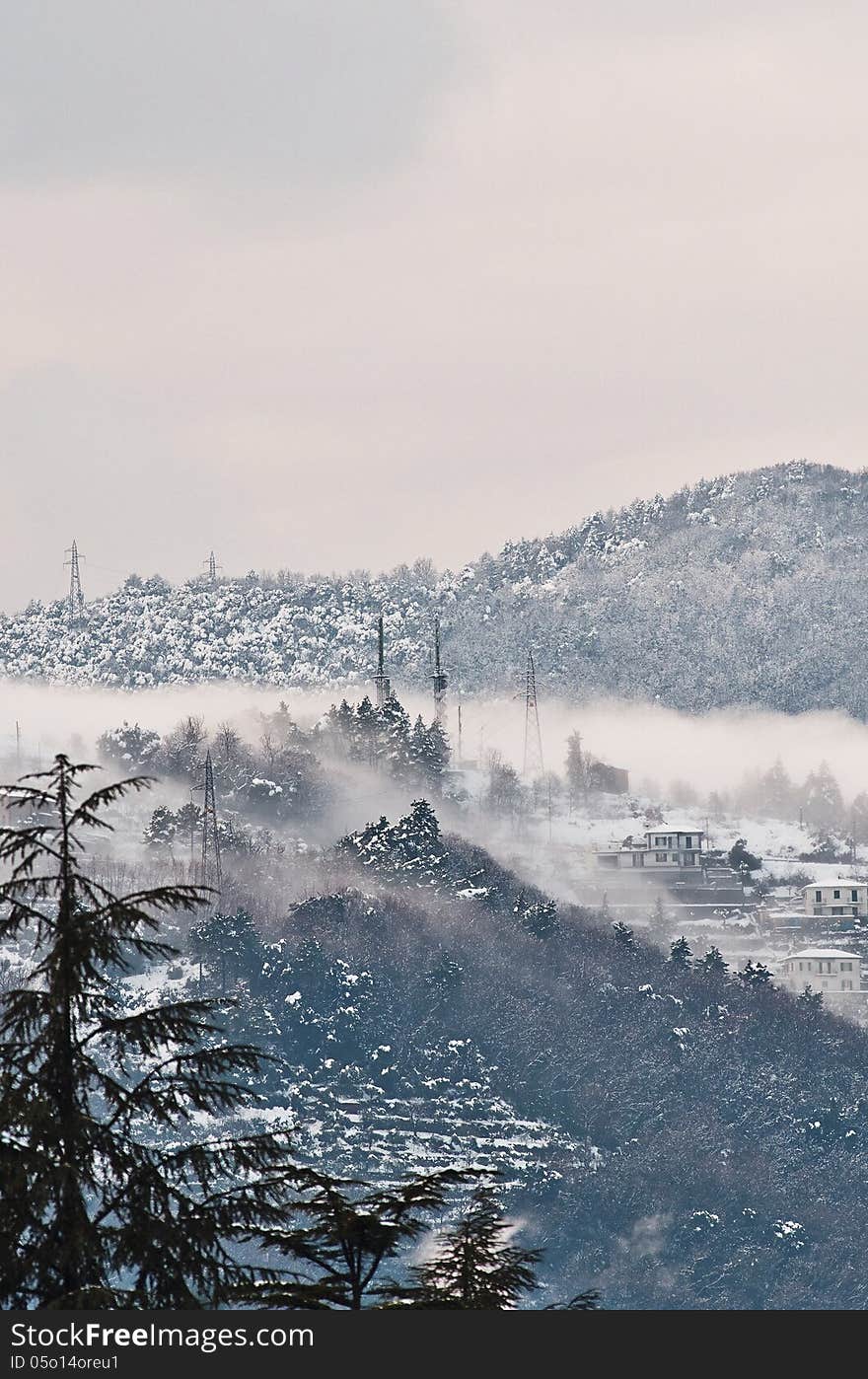 La spezia in winter time with snow