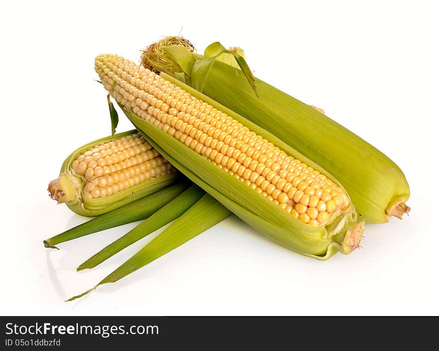 Fresh corn fruits with green leaves