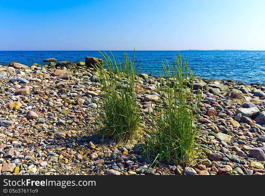 Coast of the Baltic Sea, Estonia. Coast of the Baltic Sea, Estonia.