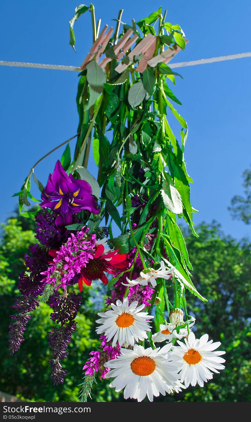 Colorful flowers hanging to dry on a clothes line. Colorful flowers hanging to dry on a clothes line.